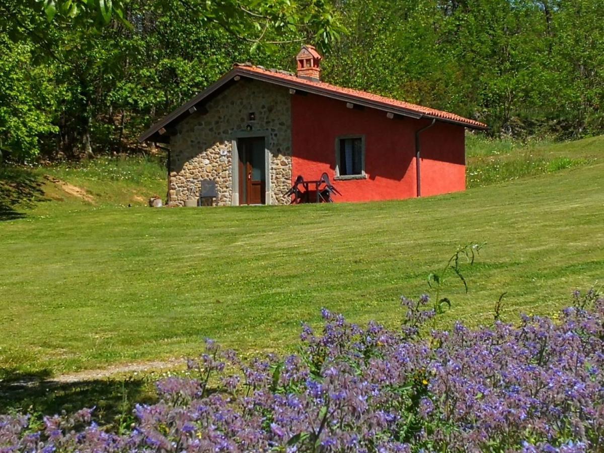 Agriturismo Braccicorti Pieve Fosciana Exterior foto