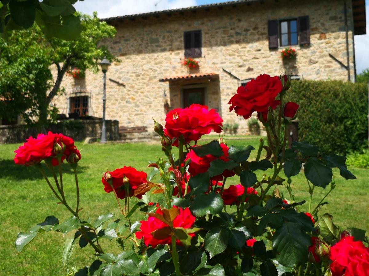 Agriturismo Braccicorti Pieve Fosciana Exterior foto